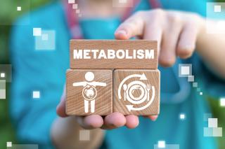 5 Hal yang Tanpa Disadari Membuat Metabolisme Tubuh Menjadi Lambat