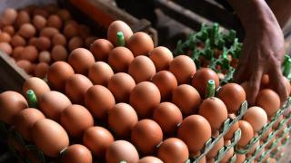 Harga Telur Merangkak Naik, Tembus Rp 32.000/Kg