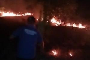 Dua Hektare Lahan di Kundur Karimun Ludes Terbakar