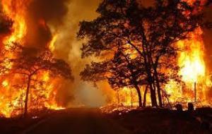 Kebakaran di Kundur Kabupaten Karimun Berhasil Dipadamkan