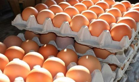 Singapura Impor Telur dari Indonesia untuk Penuhi Kebutuhan Dalam Negeri
