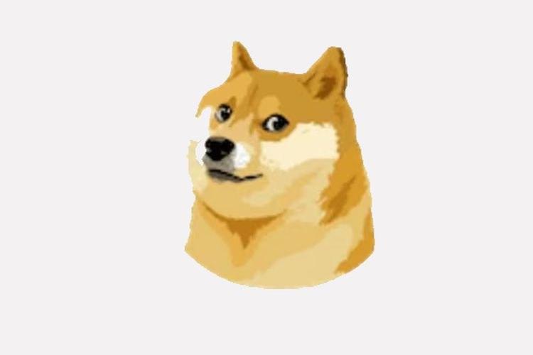 Elon Musk Sempat Ganti Logo Twitter dari Burung ke Anjing