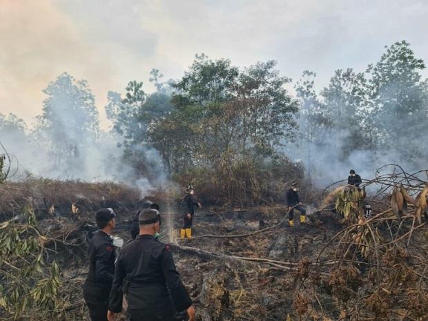 Polda Riau Buru Pelaku Pembakar Lahan Gambut di Dumai dan Bengkalis
