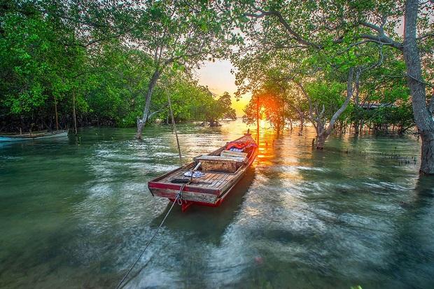 Keindahan Kampung Wisata di Batam: Menjelajahi Desa Wisata Kampung Tua Bakau Serip