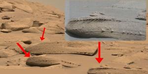 Batu Aneh Seperti Tulang Naga Ditemukan di Planet Mars