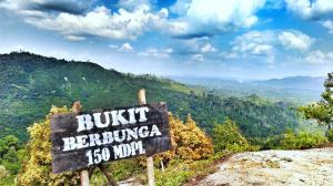 Mengintip Keindahan Pesona Bukit Berbunga di Tembilahan Riau