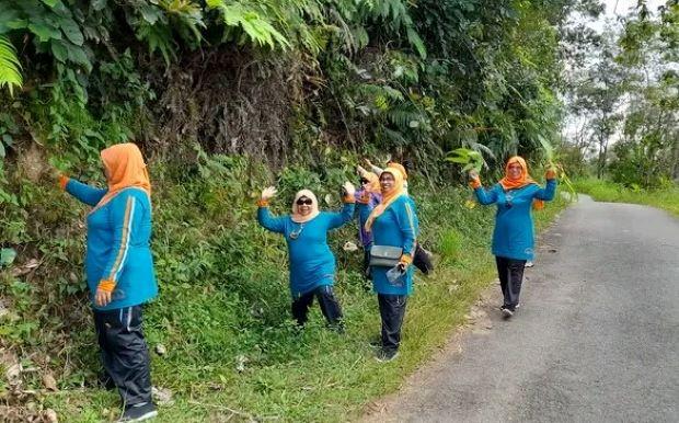 Tradisi Tanam Ranting di Nagari Sumpur Kudus: Jangan Langgar Jika Tidak Ingin Terkena Musibah