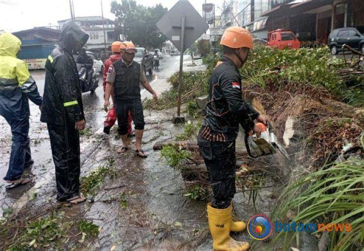 Cuaca Ekstrem di Tanjungpinang: Pohon Tumbang, Rumah Rusak, dan Kemacetan Lalu Lintas Terjadi
