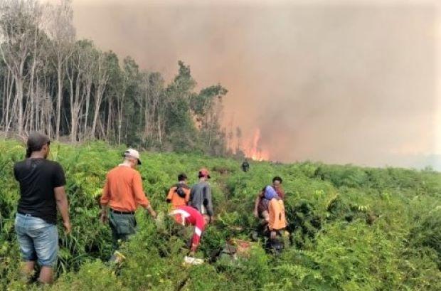 Waspada, Titik Api Makin Membara di Sumatera,Terbanyak di Sumatera Barat Terdeteksi 44 Hotspot 