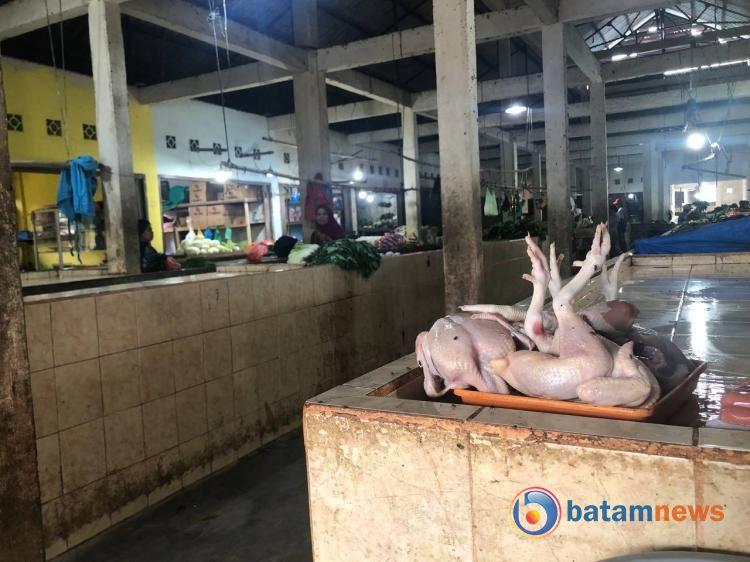 Harga Ayam Potong di Bintan Merangkak Naik, Tembus Rp 40 Ribu Per Kilogram