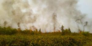 Waspada, Jumlah Titik Api di Riau Melonjak, Kepri Bisa Terimbas Kabut Asap
