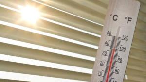 Pekanbaru Dilanda Gelombang Panas, Suhu Capai Rekor Tertinggi 35 Derajat Celsius