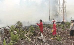 Polisi Terus Selidiki Penyebab Kebakaran 100 Hektare Hutan Gambut di Lunang Pesisir Selatan