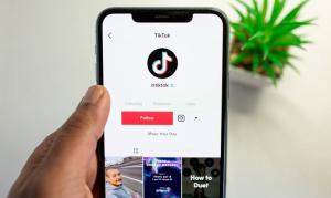 Alternatif Download Video TikTok Tanpa Watermark yang Populer selain SSSTikTok