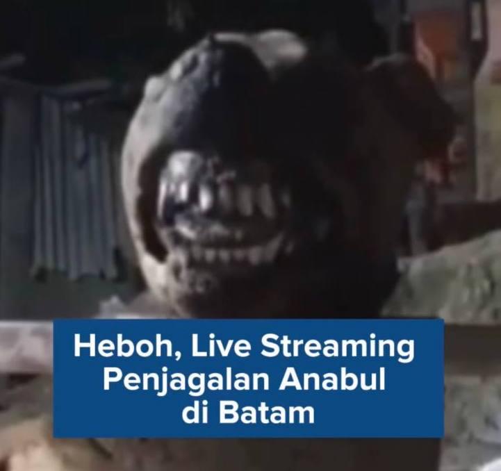 Live Streaming Jagal Hewan Peliharaan Membuat Geger di Batam
