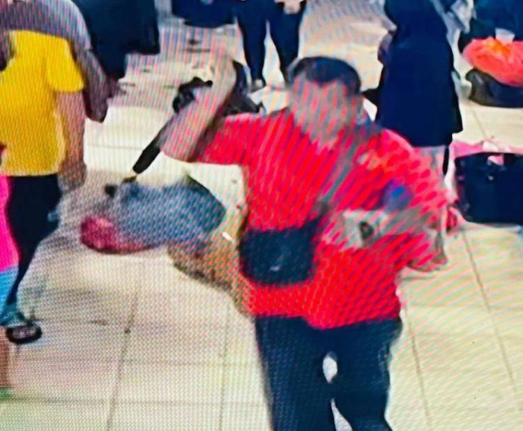 Pencuri Beraksi di Pelabuhan Batu Ampar Batam, Seorang Ibu dan Anak Jadi Korban