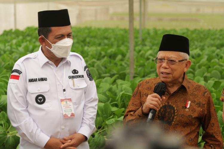 Kunker ke Kepri, Wapres Ma
