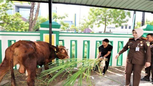 Kejari Batam Akan Melaksanakan Pemotongan Hewan Kurban, 5 Sapi, 4 Kambing untuk Iduladha 2023
