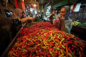 Harga Cabai di Natuna Pedas, Sentuh Rp 70 Ribu Per Kilogram