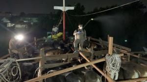 Pasokan Sapi Kurban dari Natuna Tiba di Karimun, Langsung Disemprot Disinfeksi