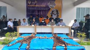 Satuan Polisi Kehutanan Tangkap Tiga Pelaku Penjual Kulit Harimau Sumatera di Riau