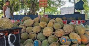 Ketika Musim Durian Tiba di Batam: Musim Ada di Sijunjung, Duriannya Tiba di Batam