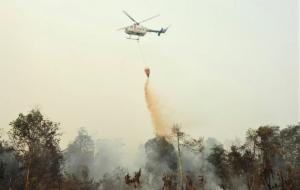 Helikopter Water Bombing Dikerahkan Padamkan Api di Hutan Lindung Bukit Suligi Riau
