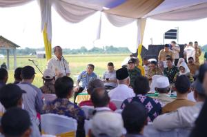 Kelangkaan Air Mengancam Petani Sabak Auh di Siak, Gubernur Riau Bergerak Cepat