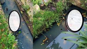 Dua Mayat Laki-laki Ditemukan di Parit Jalan AH Nasution Medan, Dekat Kejati Sumut: Mobil Rusak Ditemukan di Sekitar Lokasi