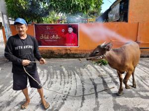 Effendi Sianipar Sumbangkan 5 Ekor Sapi Kurban di Pekanbaru hingga Siak