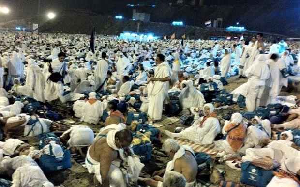 Kementerian Agama RI dan Arab Saudi Bentuk Tim Investigasi Pasca Insiden di Arafah, Muzdalifah & Mina