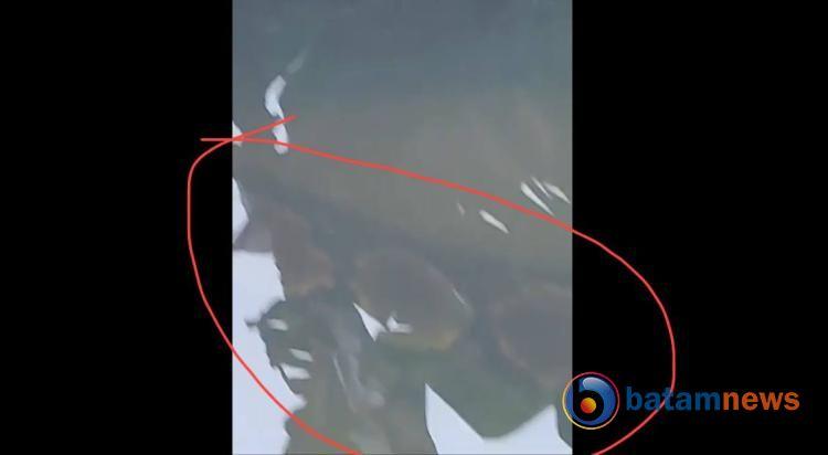 Ular Besar Muncul dalam Selokan Perumahan Bea Cukai Bukit Galang Karimun, Warga Was-was