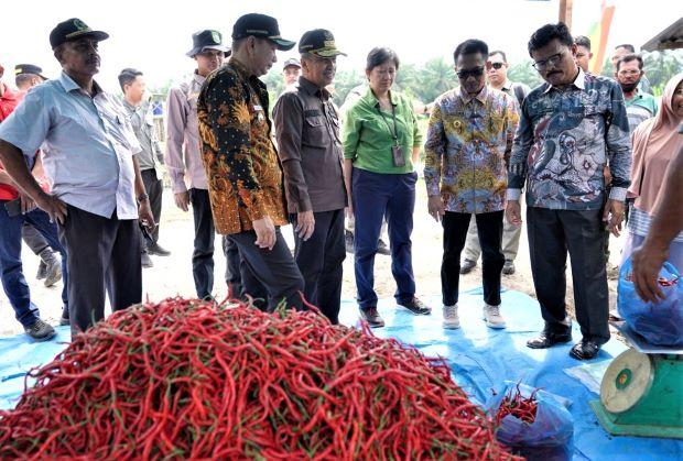 Desa Rantau Sakti Rokan Hulu: Memanfaatkan PLTBG untuk Pertanian Berkelanjutan dan Penerangan
