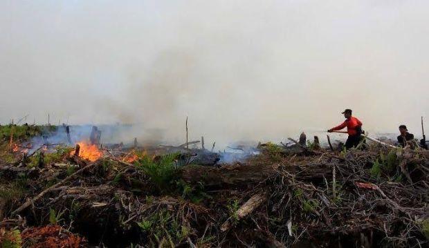 36 Kasus Karhutla Terjadi di Pekanbaru sepanjang Januari hingga Juli