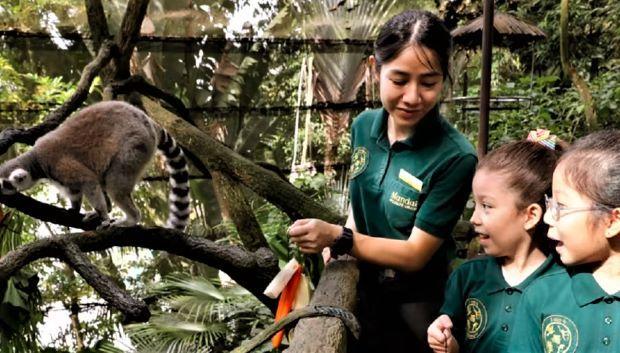Harga Tur Incredible Invertebrates di Singapore Zoo Dipertanyakan: Ini Jawaban Mandai Wildlife Group