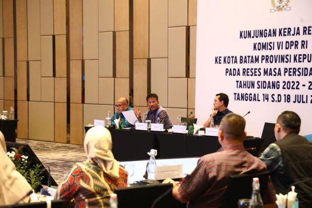 Kepala BP Batam Sampaikan Kemajuan Infrastruktur Batam ke Komisi VI DPR RI