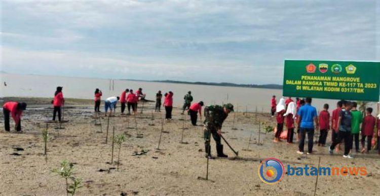 Mencegah Abrasi: 500 Pohon Mangrove Ditanam di Pantai Pasar Lama Buru Karimun