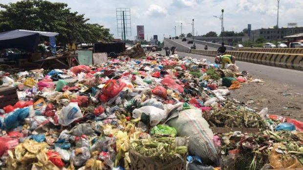 Waspada: Kasus DBD Meningkat di Riau, Terbanyak Ada di Pekanbaru 