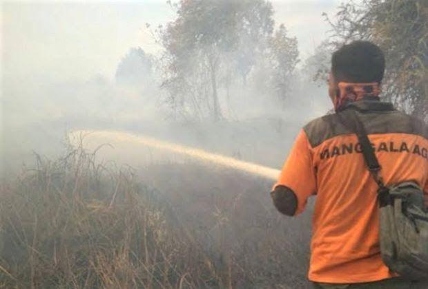 Waspada! Terdapat 4 Titik Panas di Riau dan 56 Titik di Wilayah Sumatera