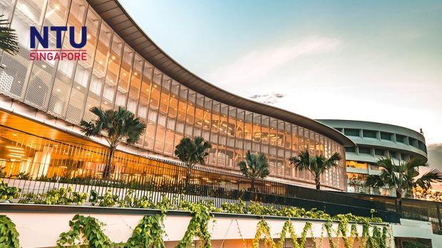 Isu Plagiarisme Menyeret Nama Seorang Profesor Senior: Kasusnya Sedang Diselidiki NTU Singapura