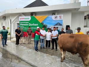 Karyawan BRK Syariah Melakukan Penyembelihan Lima Ekor Sapi dan Dua Ekor Kambing untuk Kurban