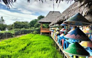 Menikmati Keindahan Palembang: 6 Tempat Wisata dengan Pemandangan Unik