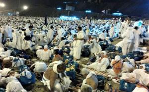 Kementerian Agama RI dan Arab Saudi Bentuk Tim Investigasi Pasca Insiden di Arafah, Muzdalifah & Mina
