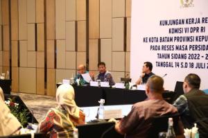 Kepala BP Batam Sampaikan Kemajuan Infrastruktur Batam ke Komisi VI DPR RI
