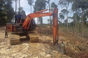 Kawasan Hutan di Desa Sahilan Darussalam Riau Dirusak oleh Perambahan Liar
