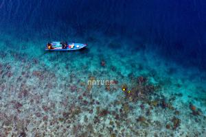 Pulau Setai, Surga Spearfishing dengan Keberlimpahan Ikan di Bawah Laut Natuna
