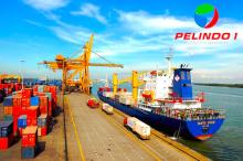 Polemik Kenaikan Pas Masuk Pelabuhan di Kepulauan Riau: Pelindo Kelola Tiga Pelabuhan Besar di Tanjungpinang