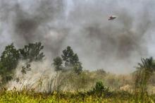 Ratusan Titik Api Terpantau di Sumatera, Riau 10 dan Kepri 1 Titik