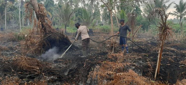 Masyarakat dan Kepolisian Berjibaku Memadamkan Kebakaran Hutan dan Lahan di Pelalawan
