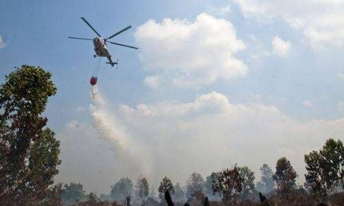 Nyaris 1.000 Hektare Lahan di Riau Terbakar Sepanjang Januari-Juli 2023